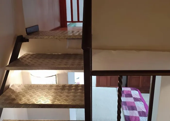 Terratetto - Σιένα